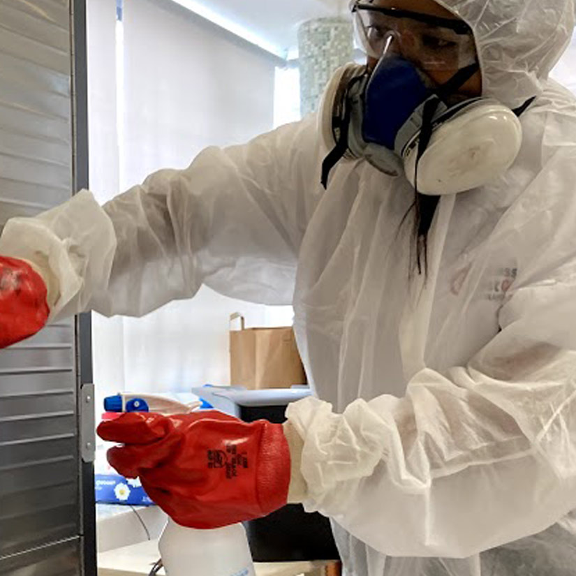 sanitization
