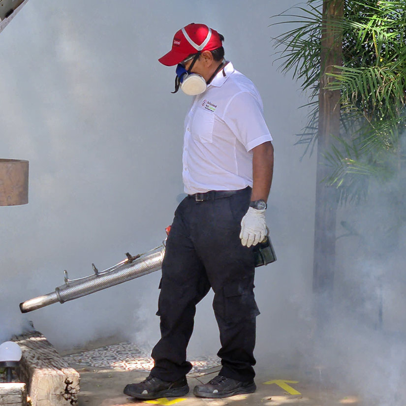 thermal-fogging-in-dutch-caribbean-aruba-and-bonaire