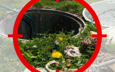 Septic Tank Treatments