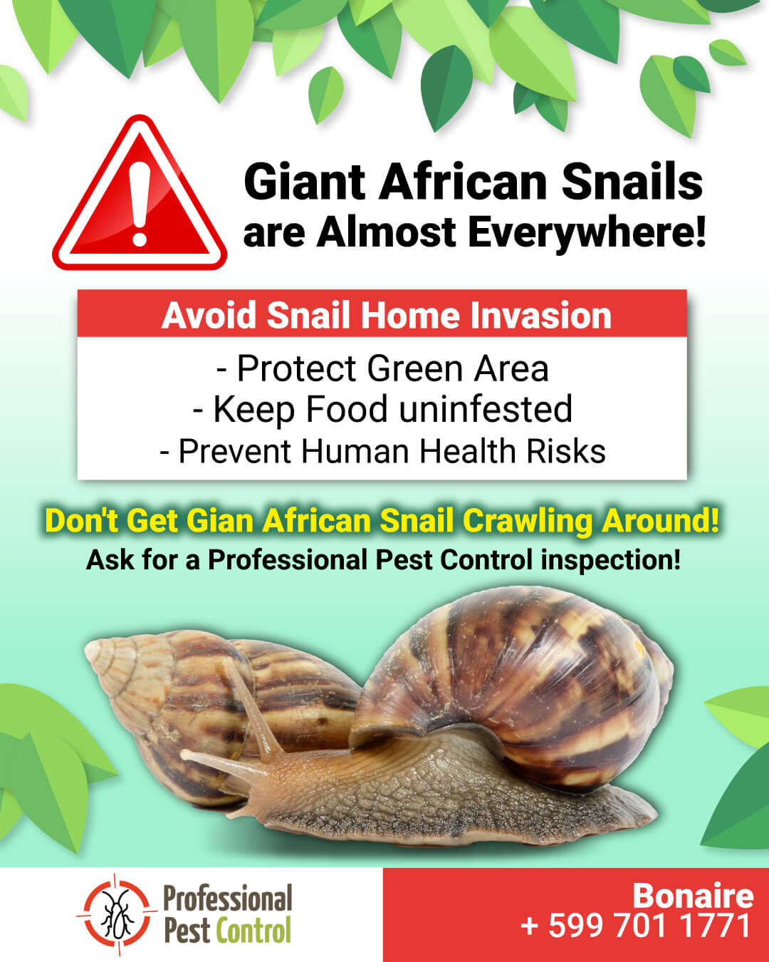 african snails pest control