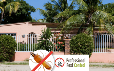 Protecting Your Vacation Property: Discover How Termidor® 80 WG Helps Combat Termites in the Caribbean