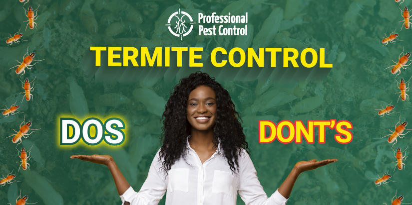 Termite Control Dos and Don’ts: Tips for Caribbean Homeowners