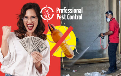 Smart Ways to Reduce Termite Control Costs and Keep Your Property Safe