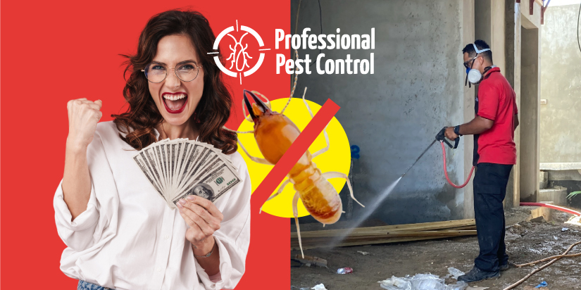 Smart Ways to Reduce Termite Control Costs and Keep Your Property Safe