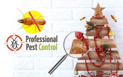 Post-Holiday Termite Prevention Tips: Your Best Defense Against Termites