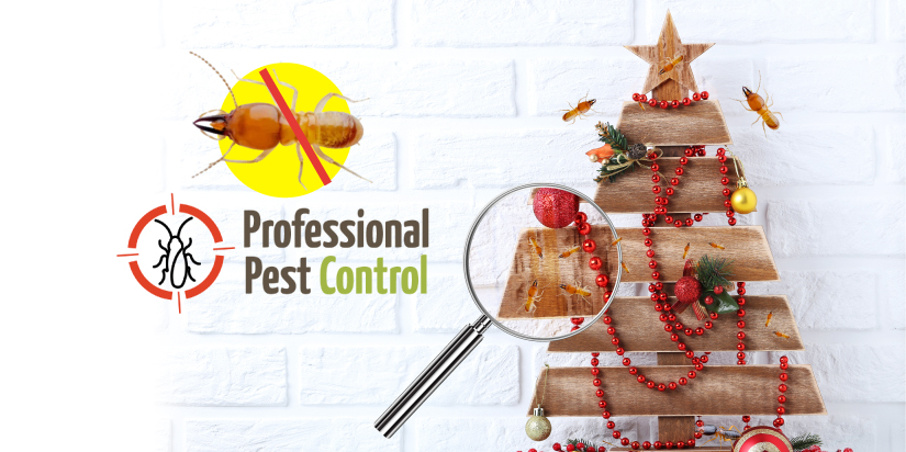 Post-Holiday Termite Prevention Tips: Your Best Defense Against Termites