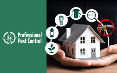 Innovative Termite Control: The Latest Advances in Pest Management to Keep Your Home Safe