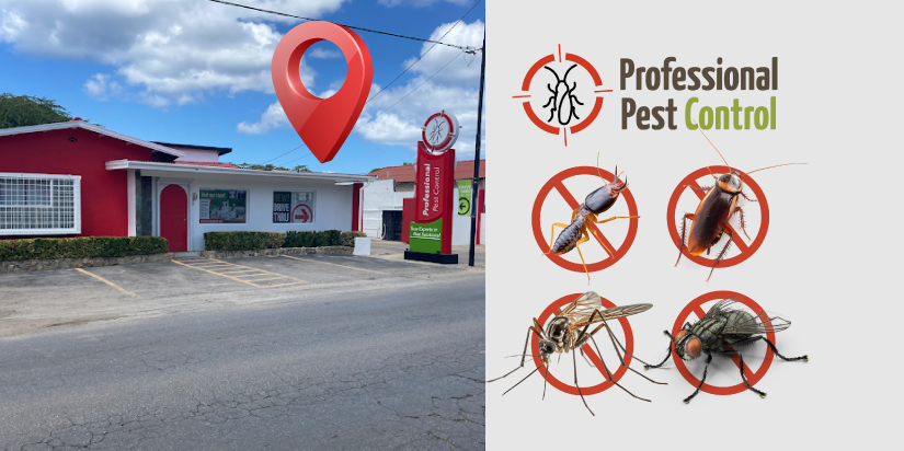 DIY Pest Control Made Easy with Professional Pest Control NEW Store in Aruba