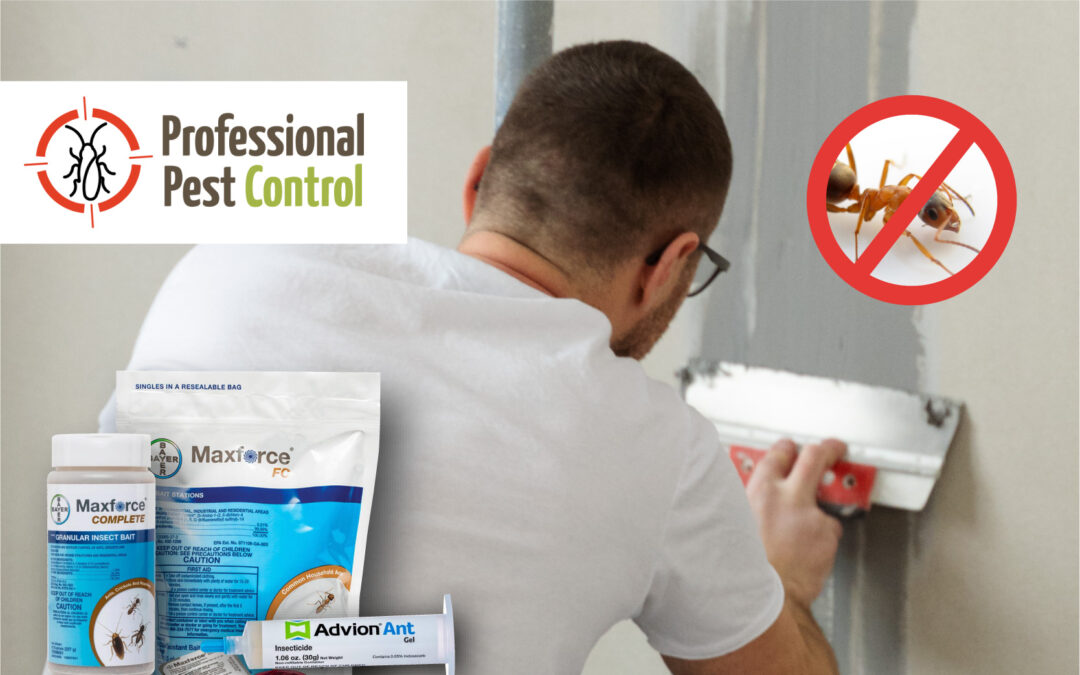 From Prevention to Elimination: Your Complete Guide to Ant Control
