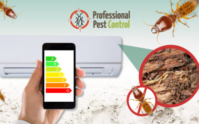Título: How Termite Damage Can Affect Your Home’s Energy Efficiency in Aruba