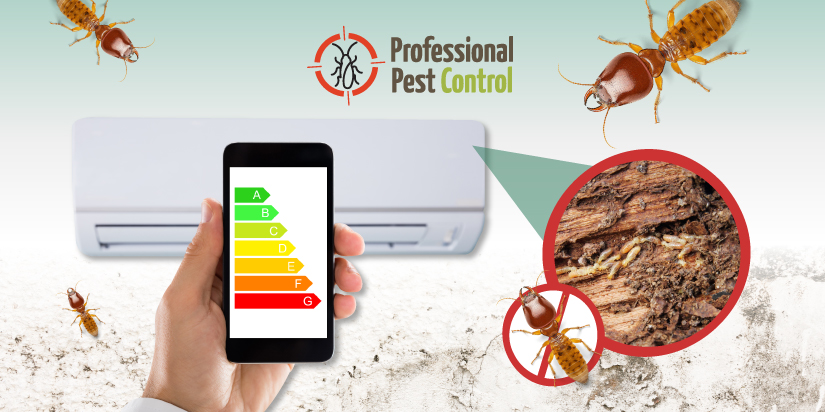 Título: How Termite Damage Can Affect Your Home’s Energy Efficiency in Aruba