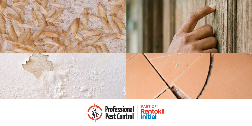 PPC-DIC-25-Rep-04-Portada (1)